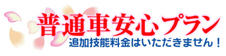 �ǉ��Z�\�����s�v�B���ʎԈ��S�v����